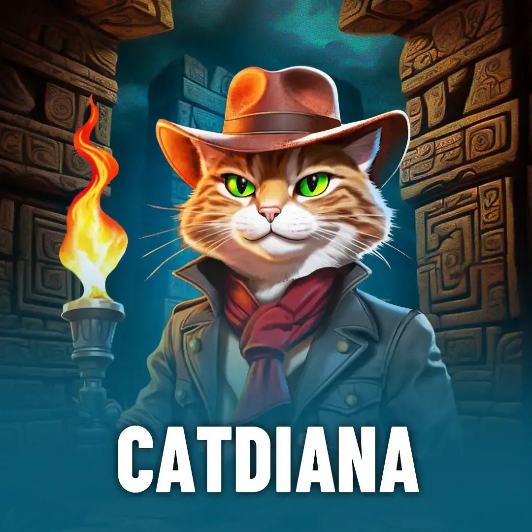 Como jogar dice